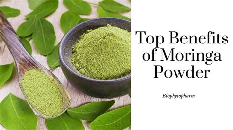 Top Benefits Of Moringa Powder | Biophytopharm