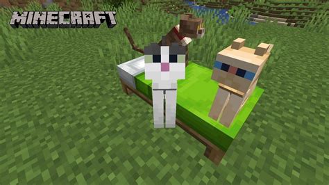 How to get different cat breeds in Minecraft