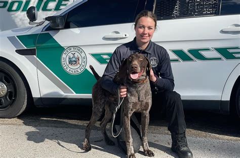 New York State Park Police assigns its first-ever female K9 officer ...