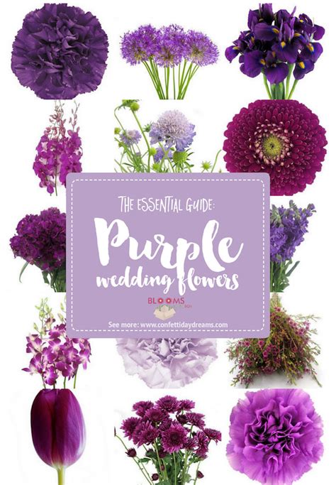 Complete Guide to Purple Wedding Flowers, Purple Flower Names + Pics