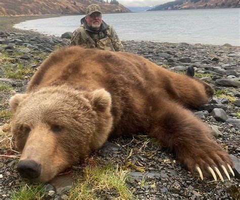 KODIAK BEAR HUNTS | Hunt Alaska Outfitters