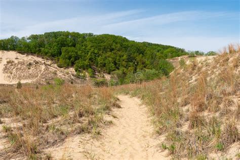 Hiking Trail in the Sand Dunes Stock Photo - Image of preserve, earth ...