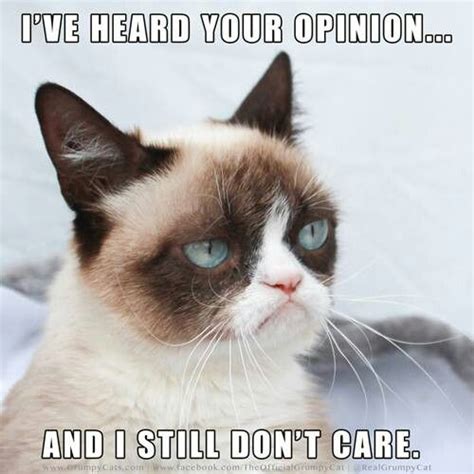 Grumpy cat Sayings amp; Quotes Pinterest | Grumpy Cat Pictures