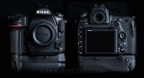 Nikon D850 review. The best wildlife photography camera ever made ...