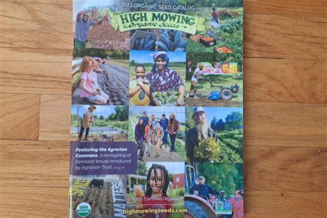 High Mowing Seeds Catalog 2023 – Crazy for Gardening