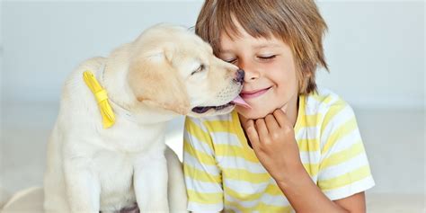 Dogs And Kids - How To Play With A Dog Safely