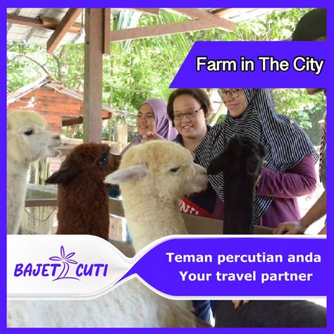 Farm In The City Ticket | bajet2cuti