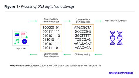 Future of Info Storage: DNA's Use for Storing Data - AMPLYFI