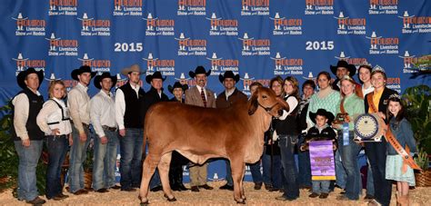 Red and Gray Brahman Cattle Champions Announced by Moreno Ranches at ...