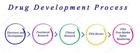 Stages Of Drug Development