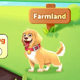 Add me fishland collect shell 145393848 : r/USA_Farmland_Temu