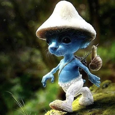 Trend Translator: WTF is this weirdly realistic Smurf cat? - The Big Smoke