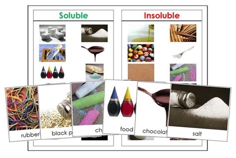 Soluble & Insoluble | Montessori science, Science curriculum, Teaching