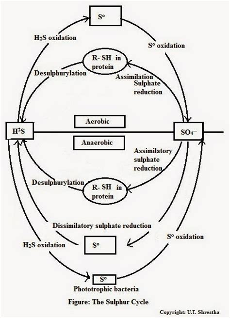 My Scientific Blog - Research and Articles: March 2015