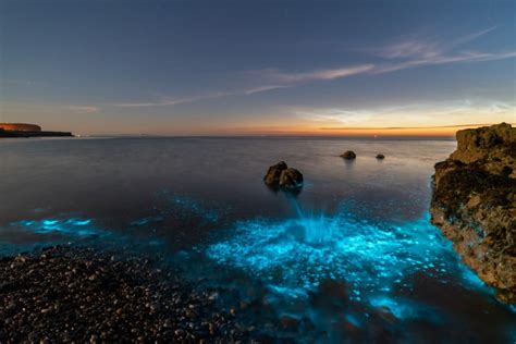 Photographer Captures the Beauty of Bioluminescent Plankton | PetaPixel