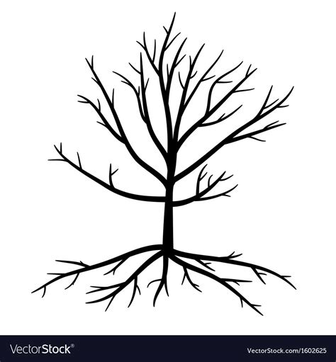 Trees with dead branches and roots Royalty Free Vector Image