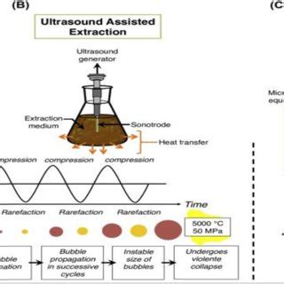 Ultrasound-Assisted Extraction through a Chemical Sample of Isolation ...