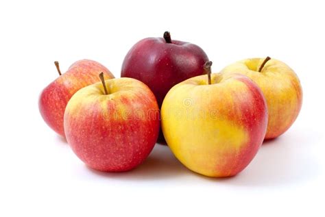 Five apples stock photo. Image of white, vegetarian, apple - 7194572