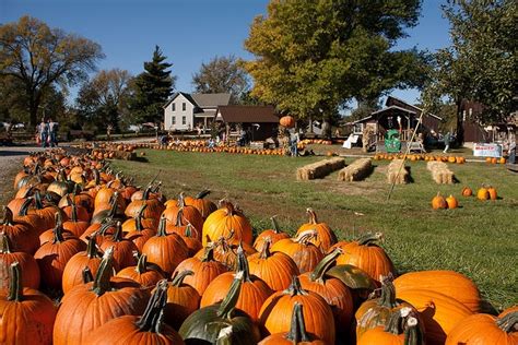 Roca Berry Farm | Pumpkin patch, haunted house | Farm, Nebraska, Scary farm