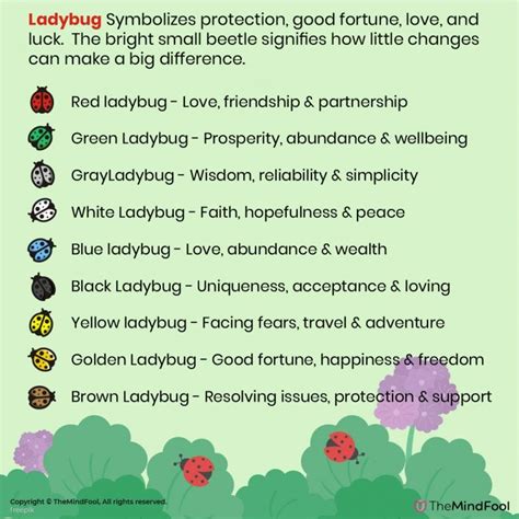 Ladybug Meaning | Ladybug Symbolism | Ladybug Spiritual Meaning