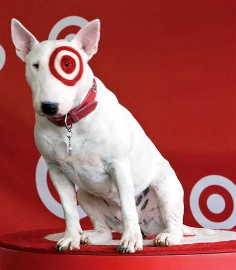 bullseye target dog | Bullseye the Target pooch is top dog in the Let’s ...