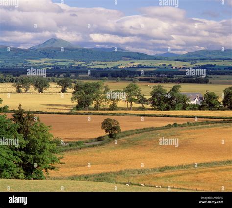 Flanders Moss, Stirling, Scotland, UK. View from Kippen across the Moss ...