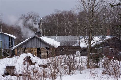 Sugar Moon Farm (Earltown) - All You Need to Know BEFORE You Go ...