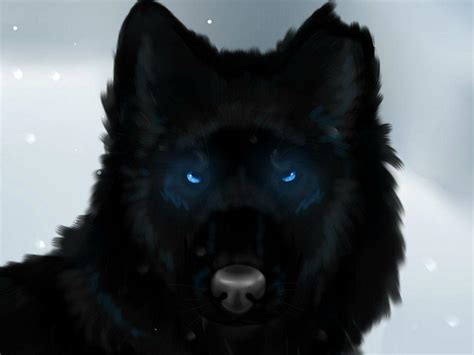 Blue Wolf Eyes Wallpapers HD - Wallpaper Cave