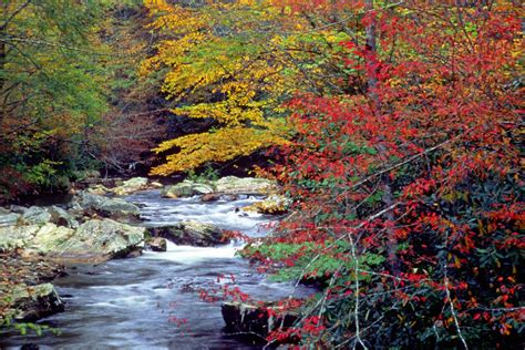 Great Smoky Mountains in the Fall | Autumn Splendor | Pinterest