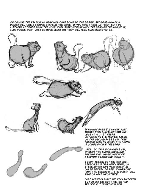 Cat Anatomy Notes– The Spine : sydneypadua.com | Cat anatomy, Character ...