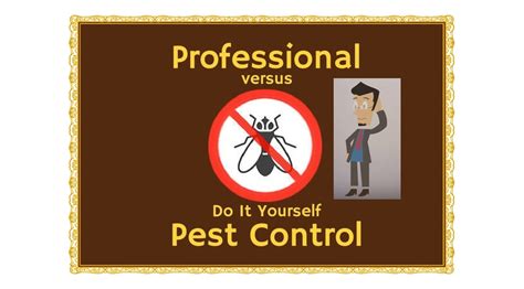 Efficient DIY Pest Control Products in Dubai, Abu Dhabi, UAE - Pest ...