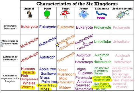 THE SIX KINGDOMS. by haley | Apologia biology, Biology classroom ...