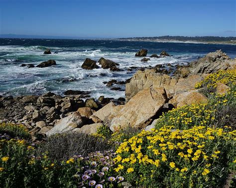 Spanish Bay Pebble Beach Photograph by Brett Harvey | Fine Art America