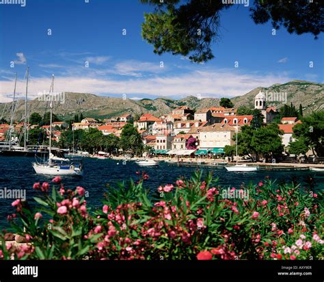 The Old Town, Cavtat, Dubrovnik Riviera, Dalmatia, Dalmatian coast ...