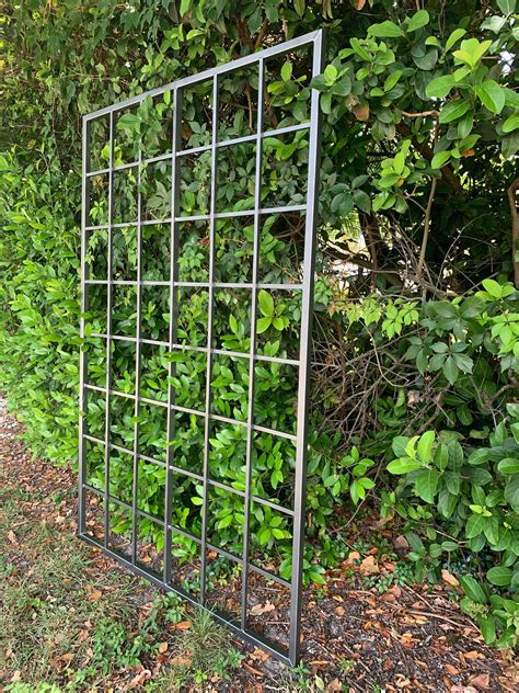 Transform Your Outdoor Space With A Metal Wall Trellis - Home Wall Ideas