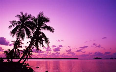 Purple Sunset, beach, purple, bonito, sunset, HD wallpaper | Peakpx