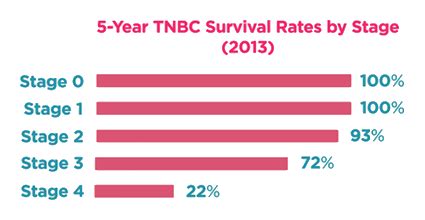 Triple Negative Breast Cancer: Triple Negative Breast Cancer Survival