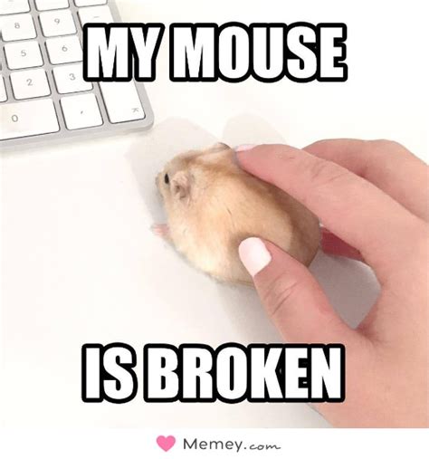 My mouse is broken | Memey.com