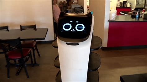 Why Should You Have A Robot Server In Your Restaurant? - Computer World