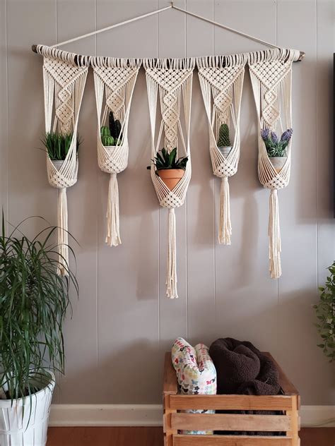 hanging macrame planters with succulents and potted plants