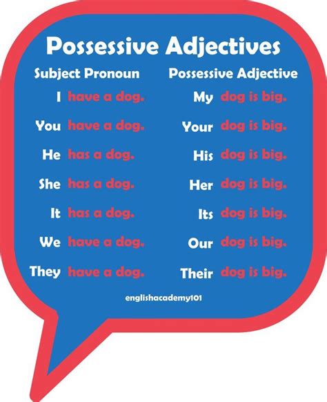 Possessive Adjectives (my/your/his/her/its/ours/their ...