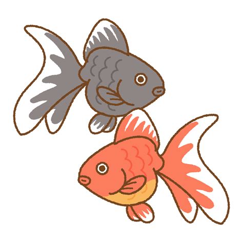 金魚 イラスト 無料 184812- 魚 イラスト 無料