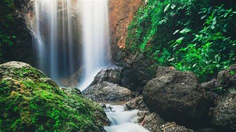 Embark upon this healing and rejuvenating trip to Kesarval falls in Goa