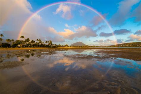 rainbow circle 2 ⋆ That Which Nourishes