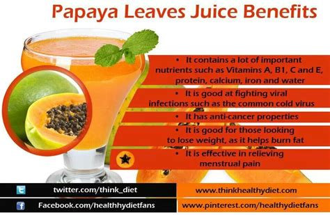 Papaya Leaves Juice Benefits | Health & Beauty Tips | Pinterest