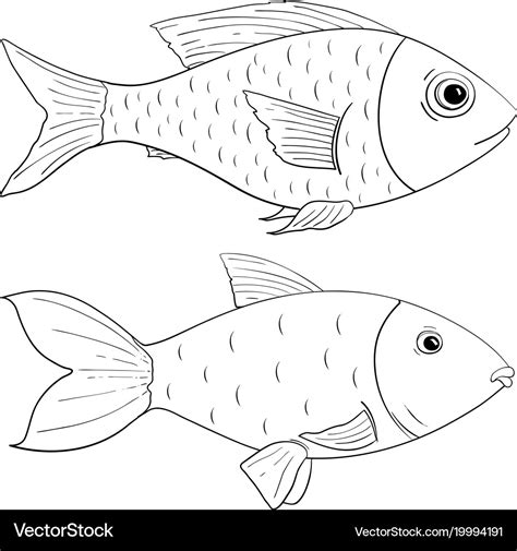 Fish outline drawing Royalty Free Vector Image