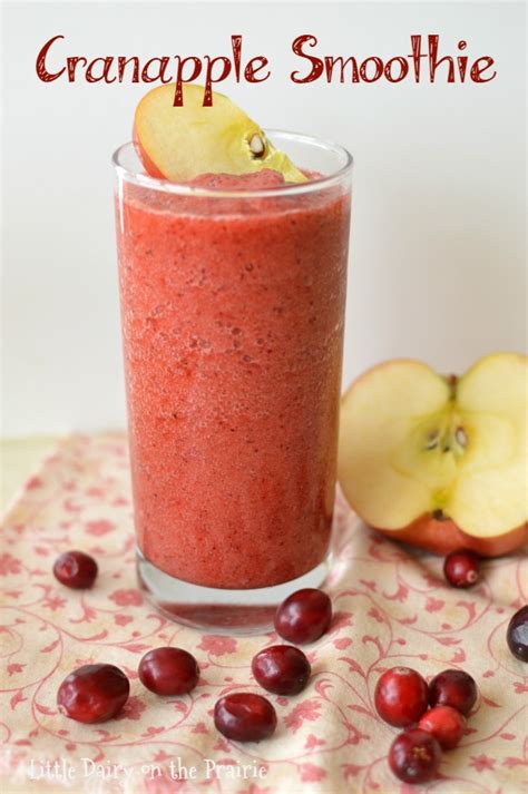 Cranberry Apple Smoothie | Little Dairy On the Prairie