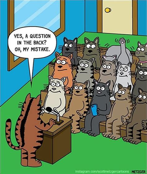 a bunch of cats that are standing in front of a box with the caption ...