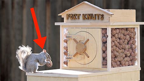 Mark Rober's latest video features a new backyard squirrel maze