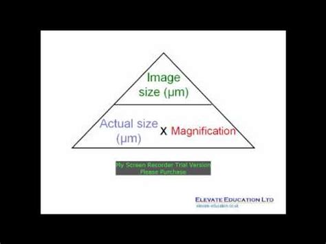 Magnification Formula Biology Igcse